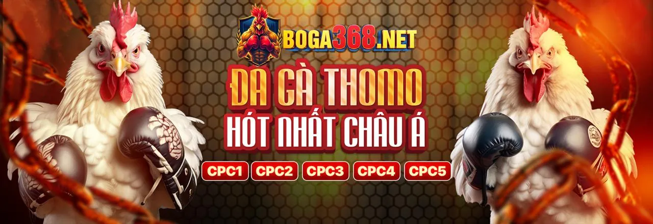 Lợi ích khi đăng ký tài khoản Bet8go